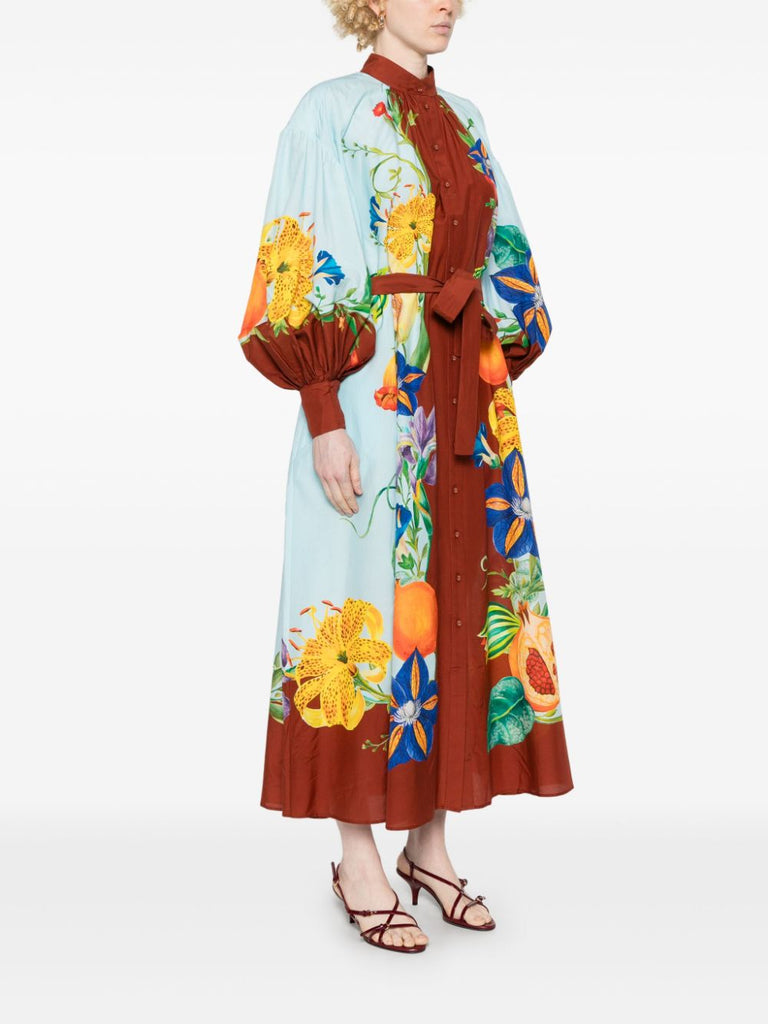 Dahlia maxi dress