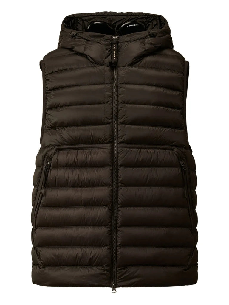 D.D. Shell goggle down gilet