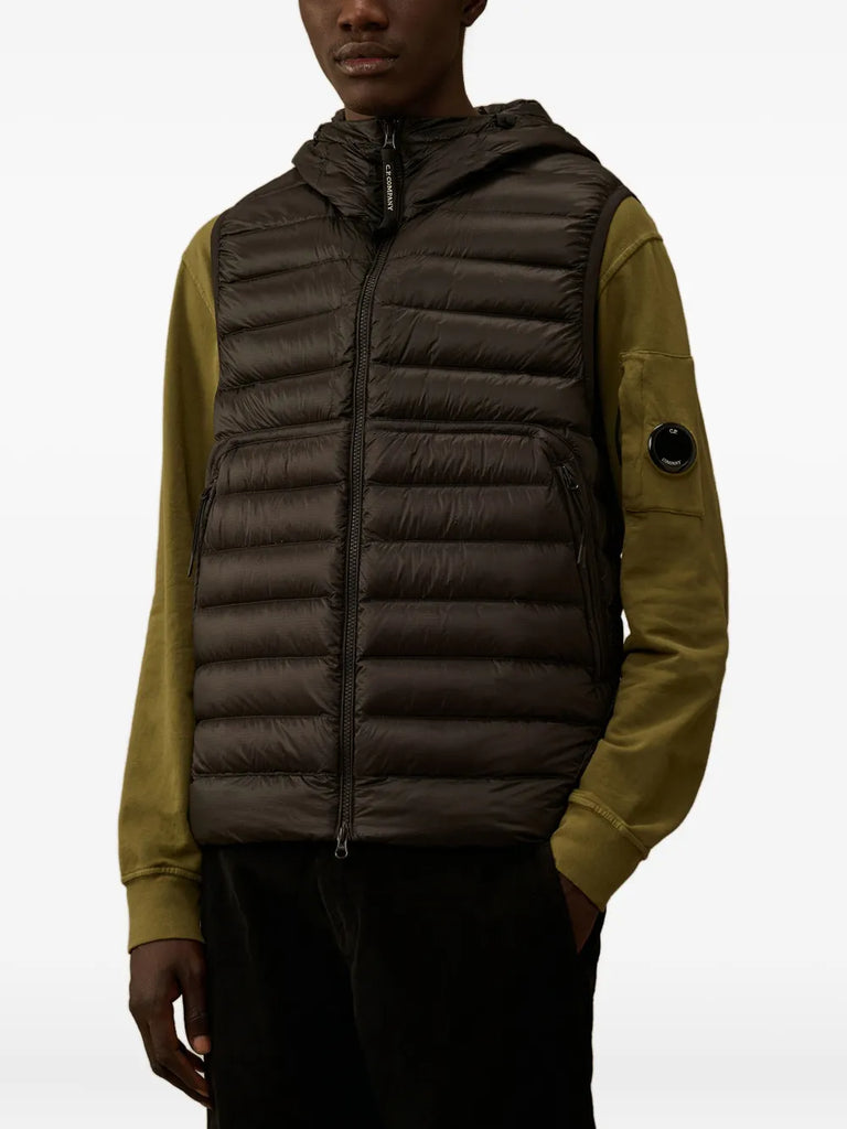 D.D. Shell goggle down gilet