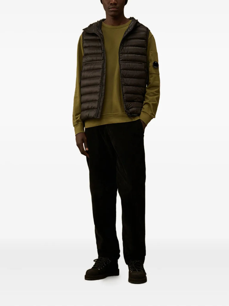 D.D. Shell goggle down gilet