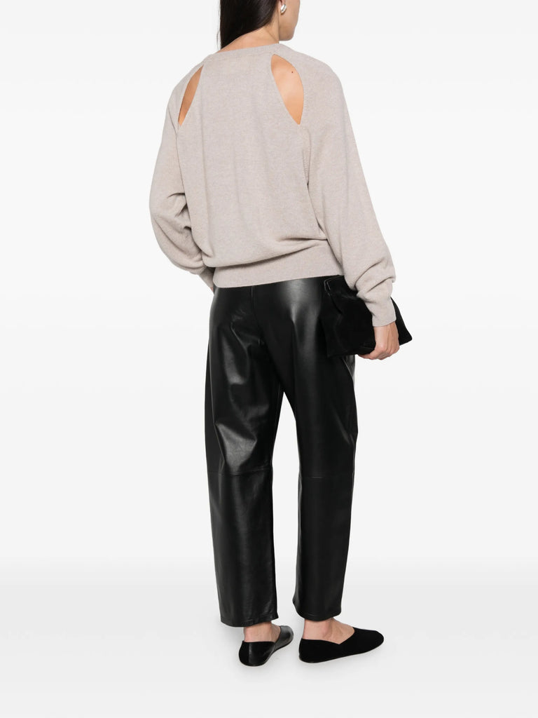 Cambrie cut-out raglan-sleeve sweater