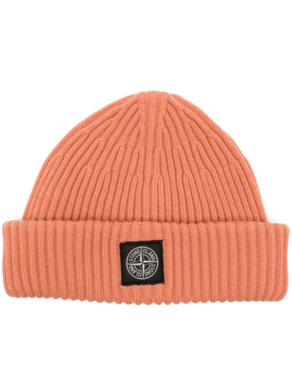 Compass-patch beanie