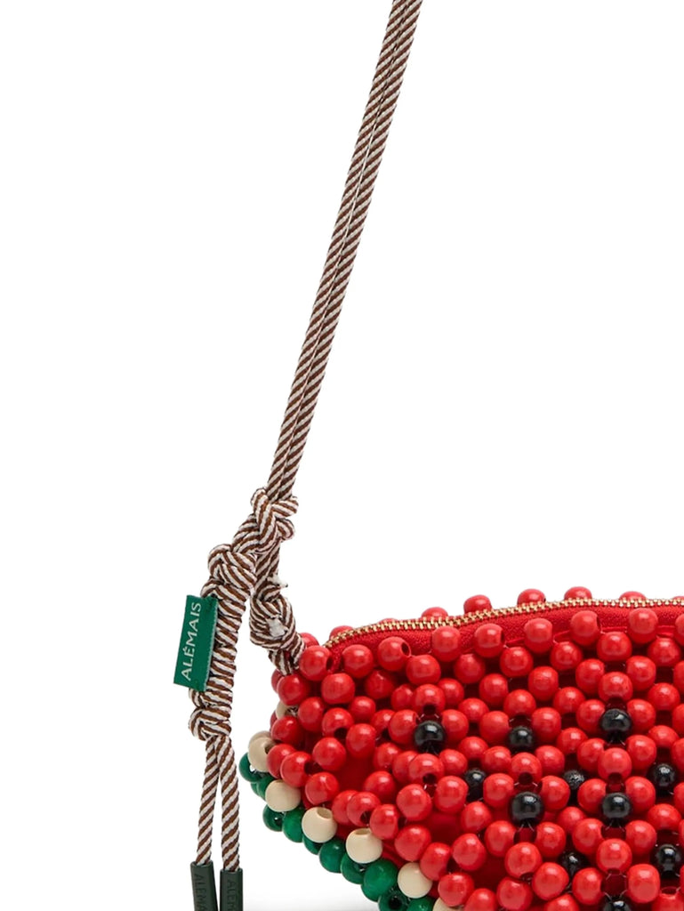 Watermelon Mini Bag